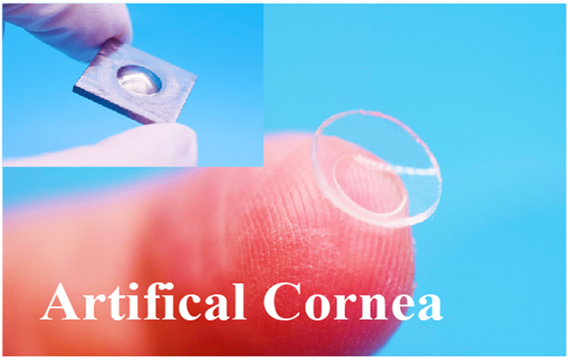 聚焦高端生物組織功能膜科研轉化，博創(chuàng  )生物喜獲天使+輪融資